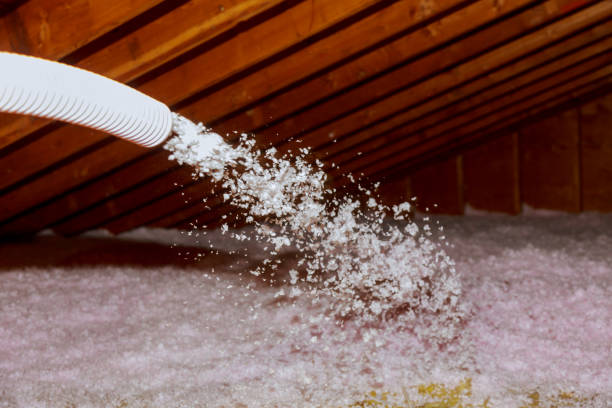 Best Geographic-Specific Insulation Services in Rosendale, WI
