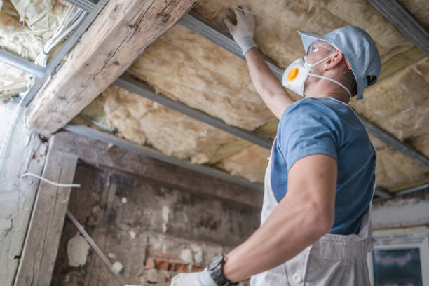 Best Residential Insulation in Rosendale, WI
